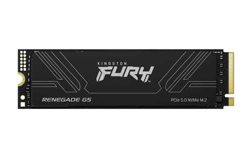 KINGSTON FURY Renegade G5 4096GB M.2