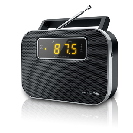 Muse Alarm function M-081R