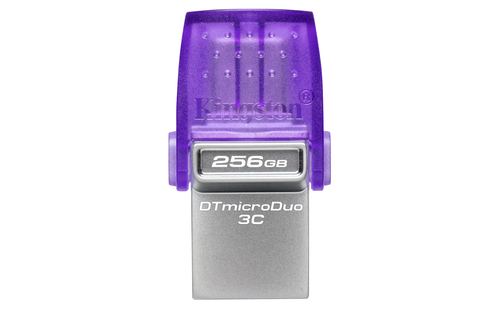 MEMORY DRIVE FLASH USB3.2/256GB DTDUO3CG3/256GB KINGSTON — pilt 3