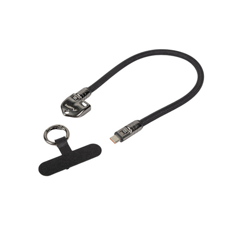 Lanberg USB-C M/M Lanyard/Keychain Cable, 0.3 m, 240 W | CA-CMCM-10LN-0003-BK