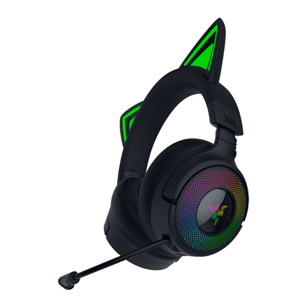 Razer Headset RZ04-05170300-R3M1
