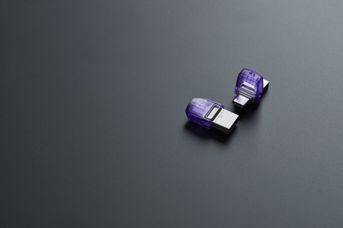 MEMORY DRIVE FLASH USB3.2/256GB DTDUO3CG3/256GB KINGSTON — pilt 8