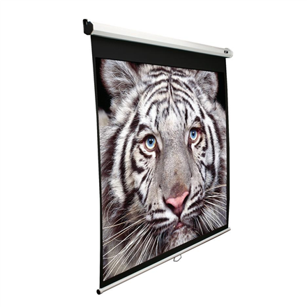 Elite Screens Manual Series M99NWS1