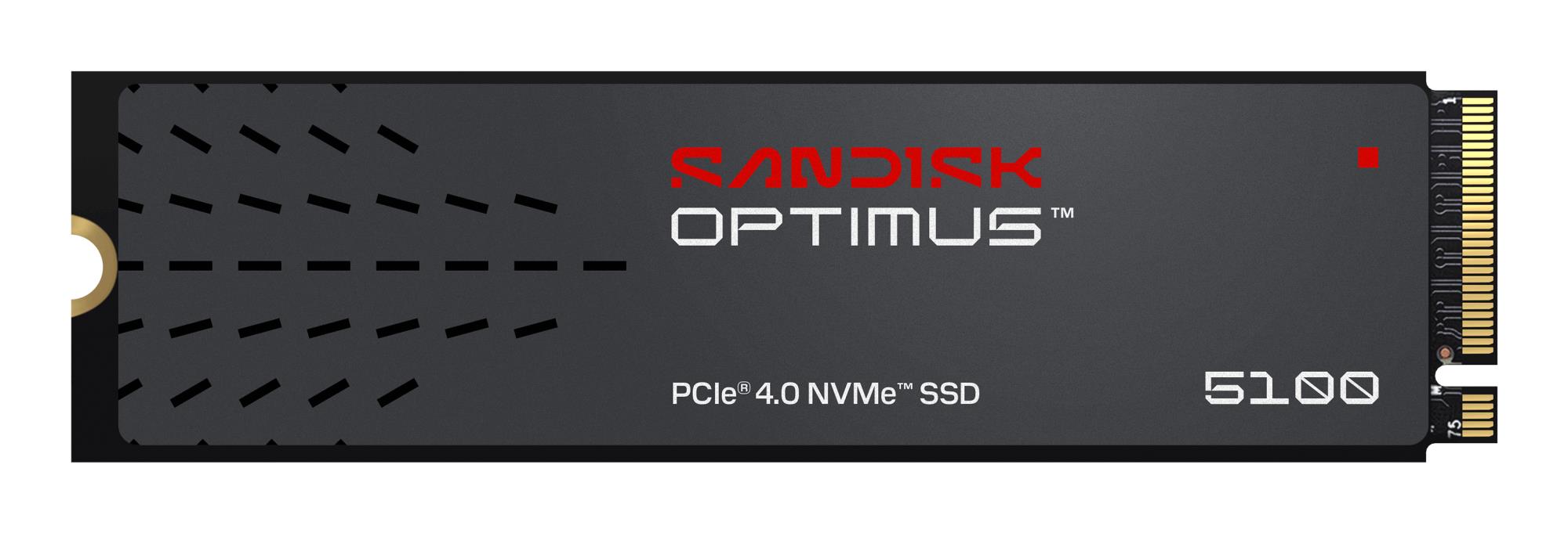 SANDISK SSD SDSP51100TAN-000E0