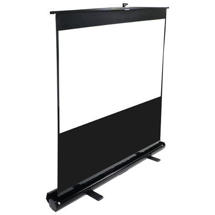 Elite Screens ezCinema Series F100NWH