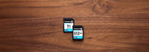 KINGSTON 1TB SDXC Canvas Go Plus Gen4 — pilt 7