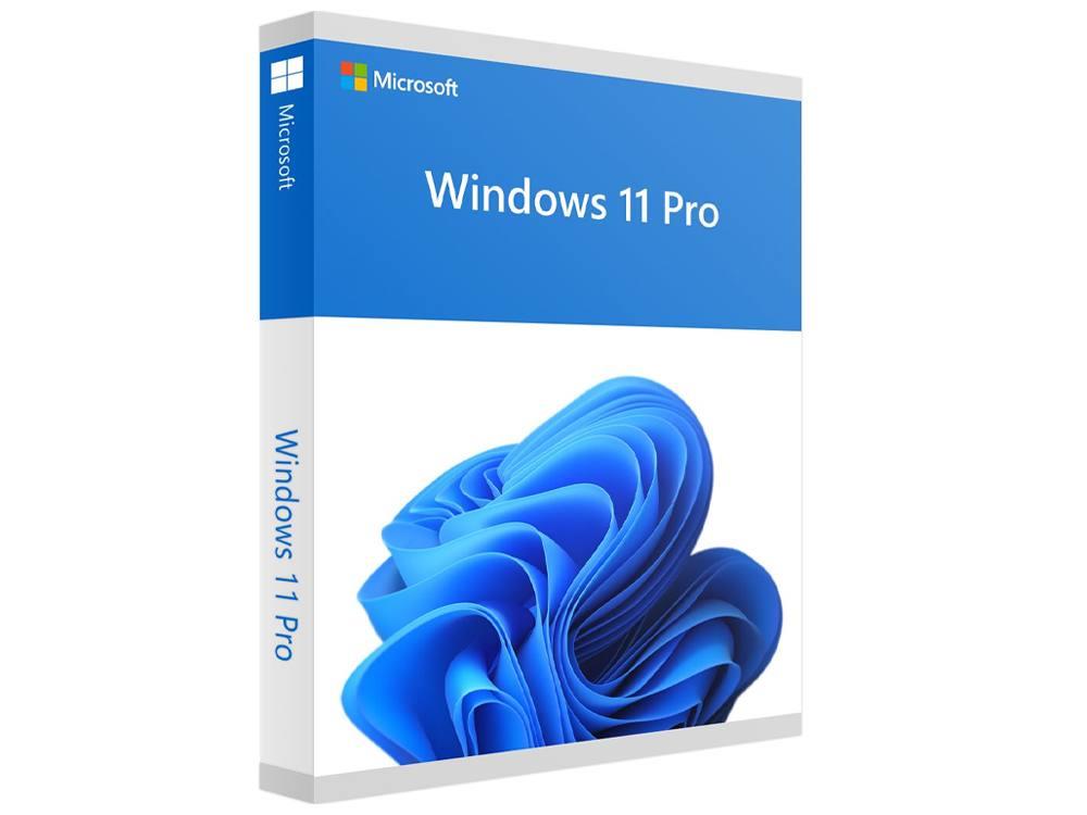 Microsoft Software Win Pro HAV-00163