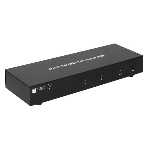TECHLY 101928 Techly 2-port DisplayPort/ — pilt 3