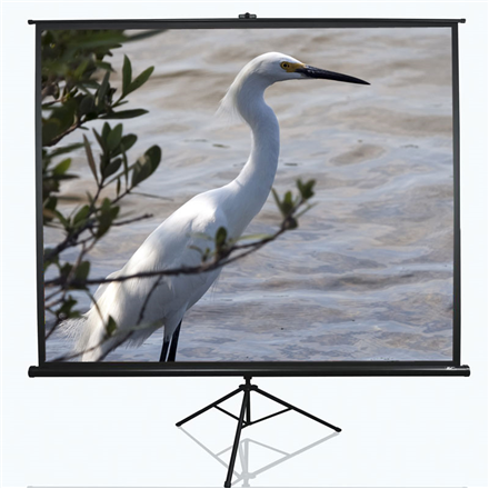 Elite Screens Tripod Series T100UWV1