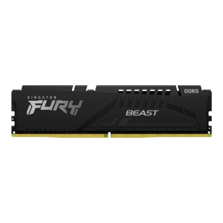 Kingston Kingston 32 GB KF560C36BBE2-32