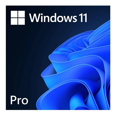 MS ESD Win Pro 11 64-bit