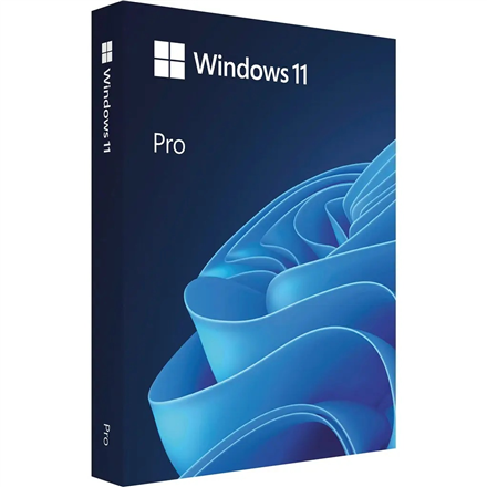 MS ESD Win Pro N 11 64-bit