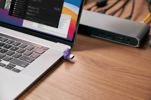 MEMORY DRIVE FLASH USB3.2/256GB DTDUO3CG3/256GB KINGSTON — pilt 14