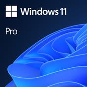 Microsoft Software Win Pro 4YR-00316
