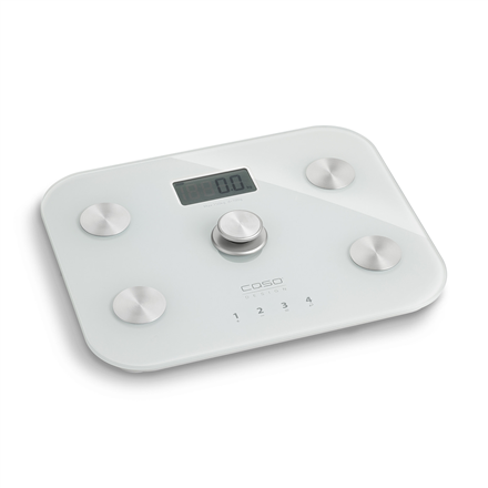 Caso Scale 03417