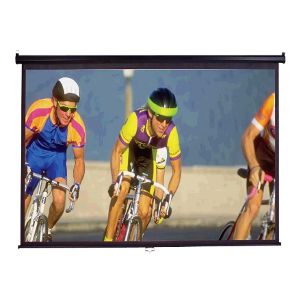 Elite Screens Manual Series M100UWH