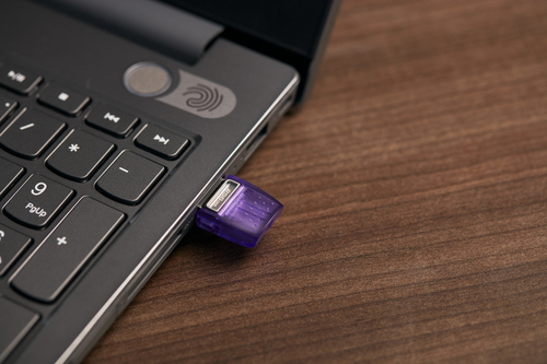 MEMORY DRIVE FLASH USB3.2/256GB DTDUO3CG3/256GB KINGSTON — pilt 9