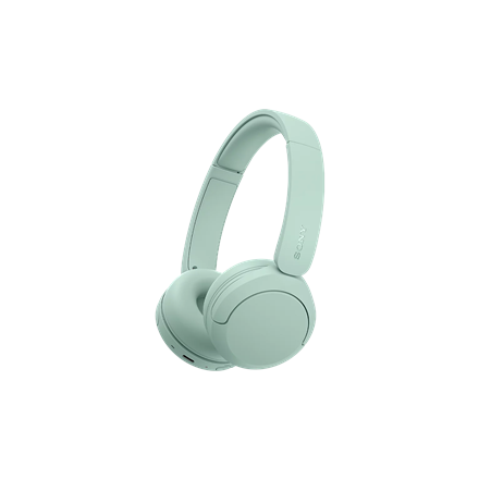 Sony Sony Headphones WHCH530G.CE7