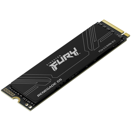 KINGSTON FURY Renegade G5 1024GB M.2
