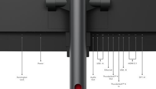 LENOVO ThinkVision P49w-30 49inch IPS — pilt 20