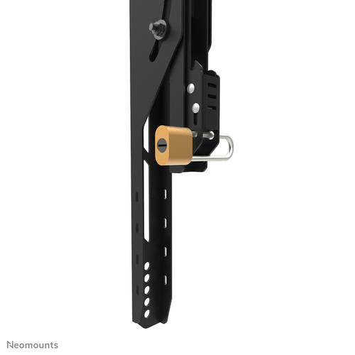 NEOMOUNTS LEVEL-750 Wall Mount XL 100kg — pilt 13