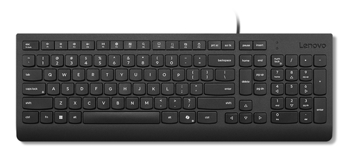 LENOVO Essential Wired Keyboard US Eng