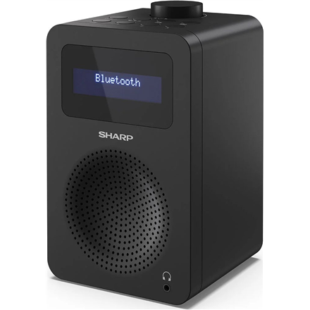 Sharp Digital Radio DR-430(BK)