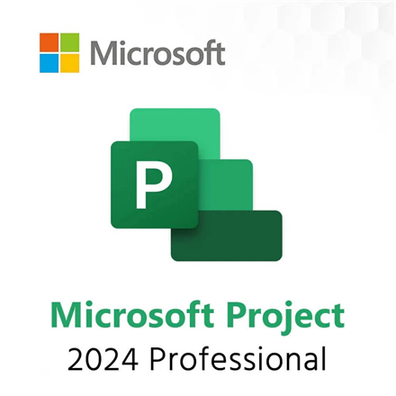 MS ESD Project Pro 2024 All Lng Retail
