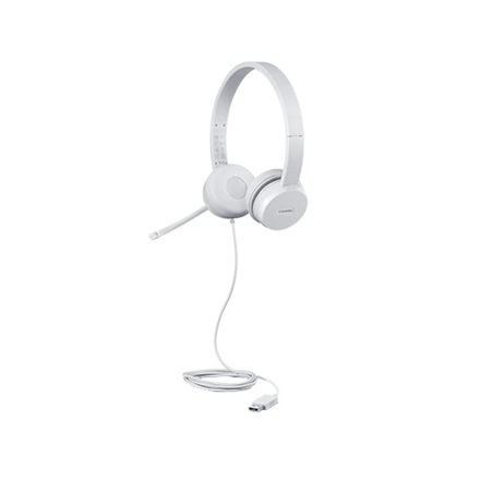 Lenovo USB Headset GXD1E71385