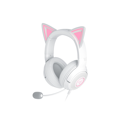 Razer Headset RZ04-04730600-R3M1