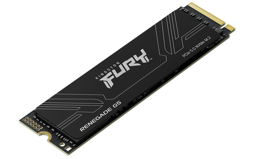 KINGSTON FURY Renegade G5 4096GB M.2 — pilt 3