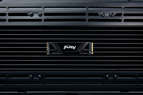 KINGSTON FURY Renegade G5 4096GB M.2 — pilt 7