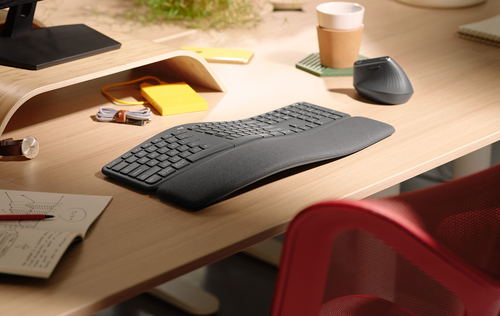 LOGI ERGO K860 - GRAPHITE (PAN) — pilt 9