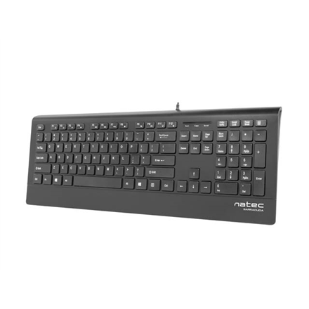 Natec Natec Keyboard, Barracuda, US Layout, Slim NKL-0876