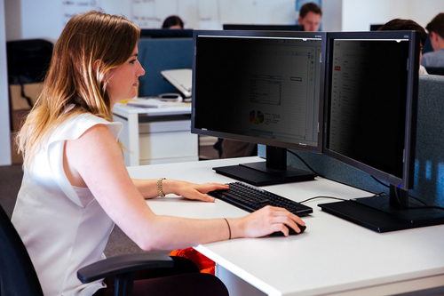 Targus | Standard Privacy Screen for 23.8" Monitors (16:9) — pilt 2