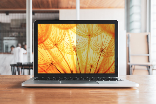3M Bright Screen privacy filter 14inch — pilt 5