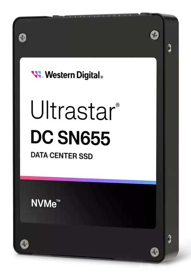 SANDISK SSD 0TS2461