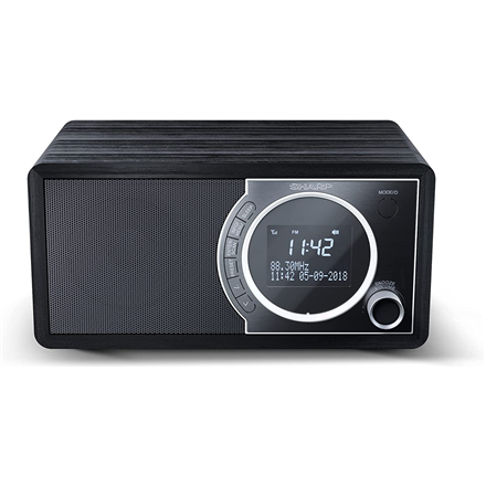 Sharp Digital Radio DR-450(BK)