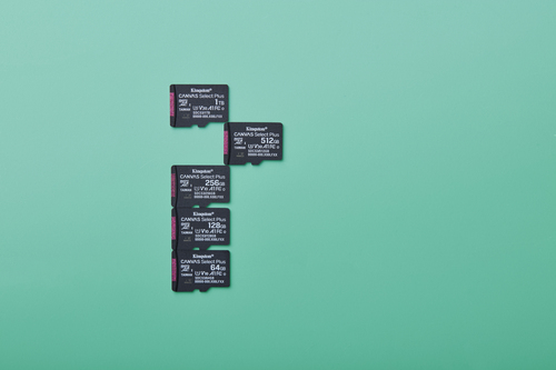 KINGSTON 64GB micSDXC Canvas Select — pilt 6