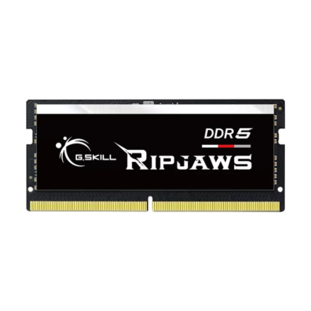 G.Skill Ripjaws F5-4800S4039A32GX1-RS