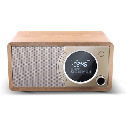 Sharp Digital Radio DR-450(BR)