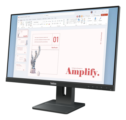 LENOVO ThinkVision E24-40 23.8inch IPS — pilt 2