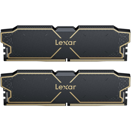 Lexar Memory with heatsink LD5U16G60C38LG-RGD