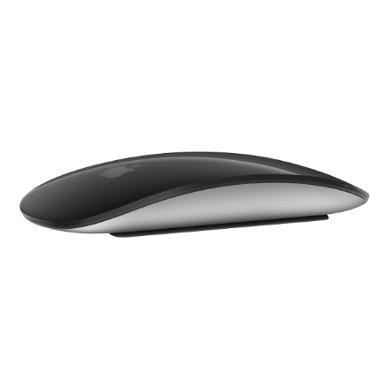 Apple Apple Magic Mouse with Multi-Touch Surface MXK63ZM/A