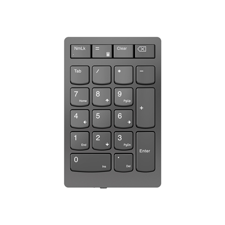 Lenovo Professional 4Y41C33791