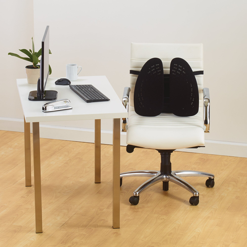 KENSINGTON K60412WW Back Support — pilt 8